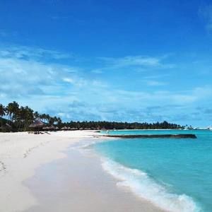 Meet your Posher, Ann